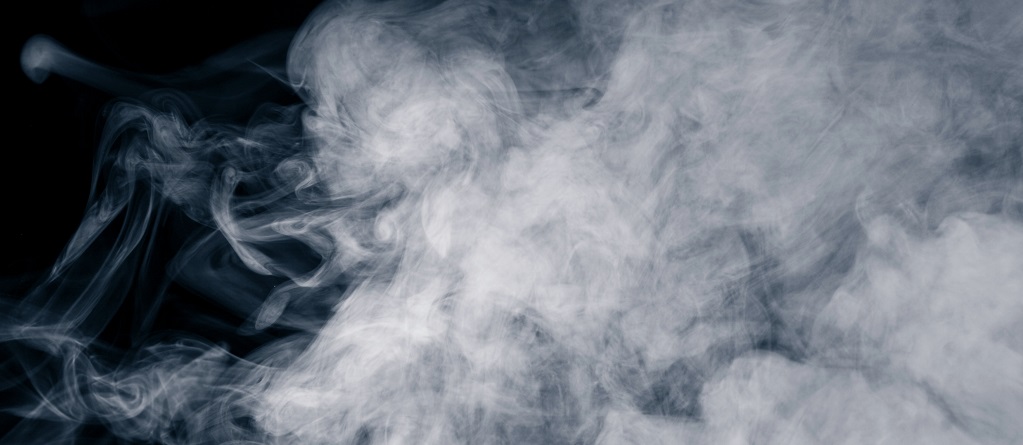 Why fumigation services are crucial in treating wood-borer beetles