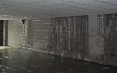 When to call the water damage specialists