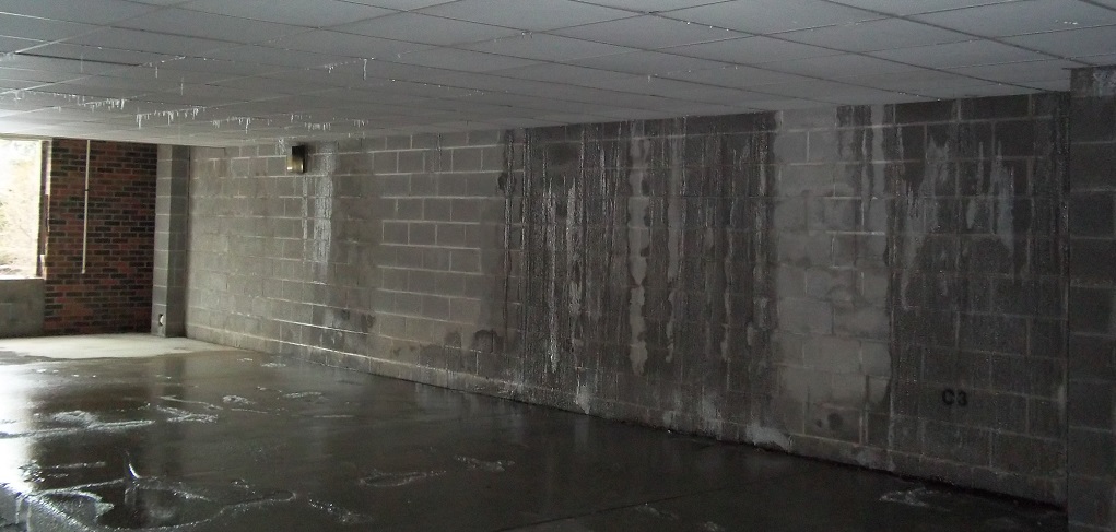 water damage services