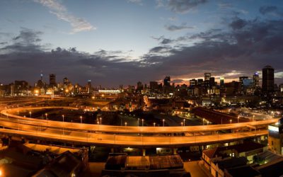 Is the City of Johannesburg’s rat control on the right track?