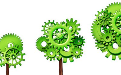 Five innovative ways companies are meeting their green business objectives