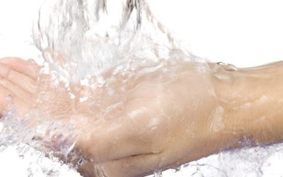 A hair-raising hand hygiene fact all restaurateurs should know.