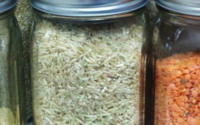 Life hack: Your pantry pest problems, solved.