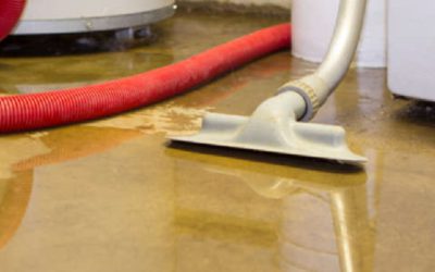 So, you need flood cleaning services…