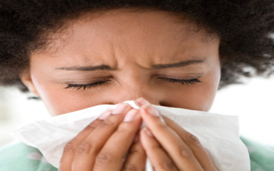 The real culprit of seasonal allergies