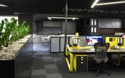 Why your business needs a professional pest control provider