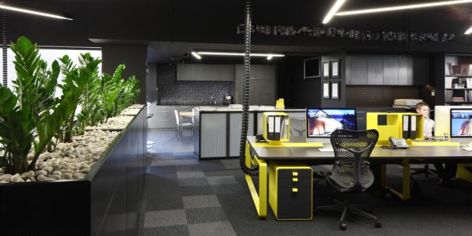 Why your business needs a professional pest control provider