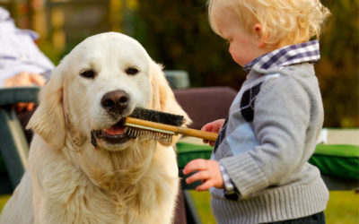 Tick bites in children and pets – what you need to know