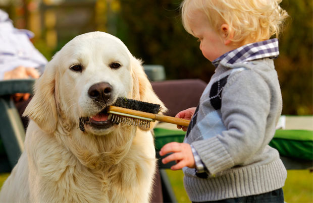 Tick bites in children and pets – what you need to know