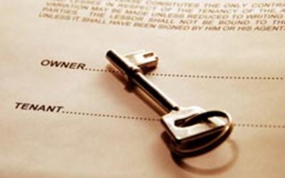 Us vs. Them: Who’s really responsible for pest control in a rental property?