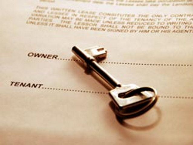 Us vs. Them: Who’s really responsible for pest control in a rental property?