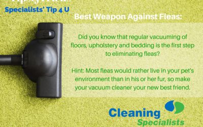 How to get a handle on flea control, once and for all