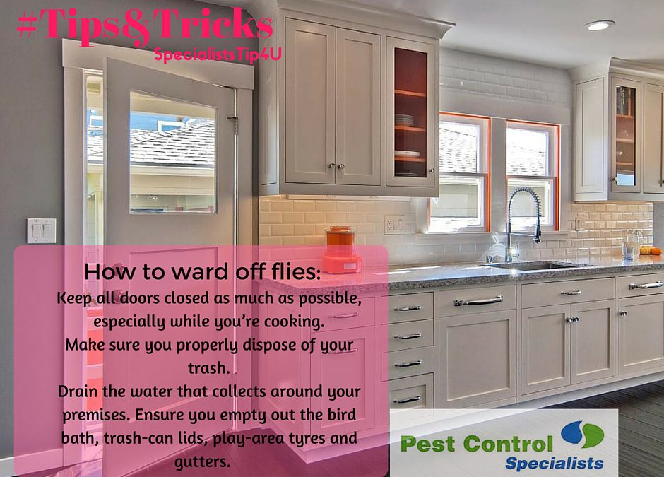 Fly repellent tips to ensure flies don’t bug you this festive season