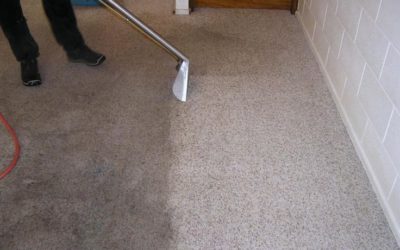 The hidden health risks of dirty carpets in the workplace