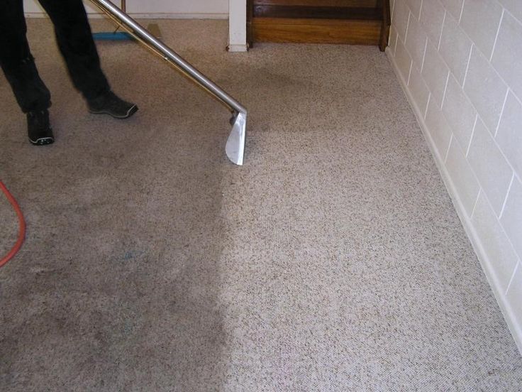 The hidden health risks of dirty carpets in the workplace
