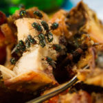 The Specialists - Fly Control