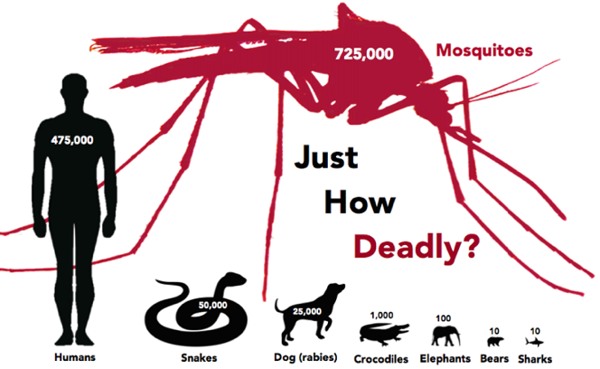 Mosquito Control Infographic