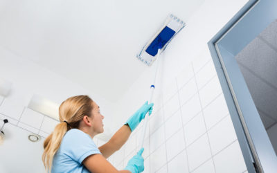 The Cleaning Specialists