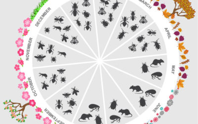 The Ultimate Pest Control Planner for Your Home & Business