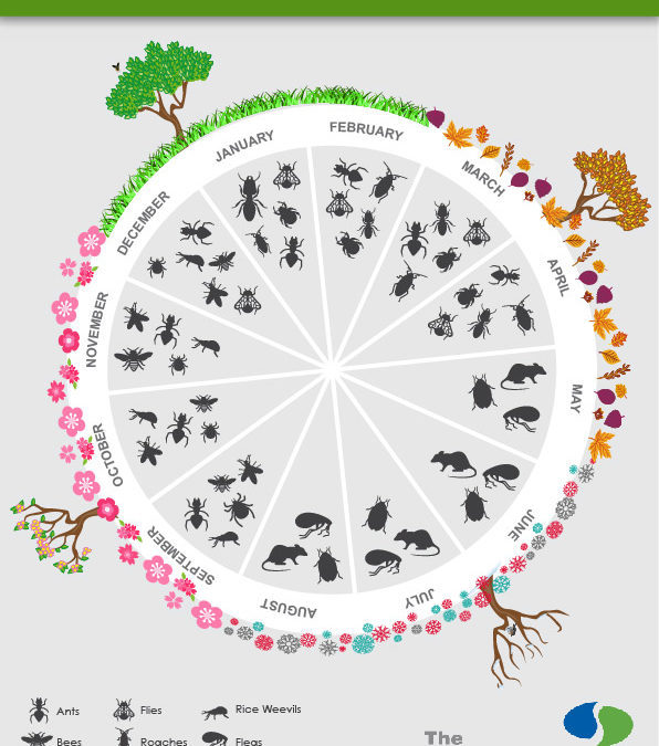 The Ultimate Pest Control Planner for Your Home & Business