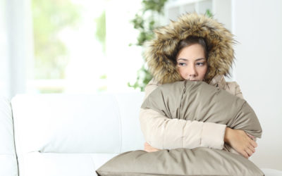 A Guide to Protecting Your Carpets During Winter