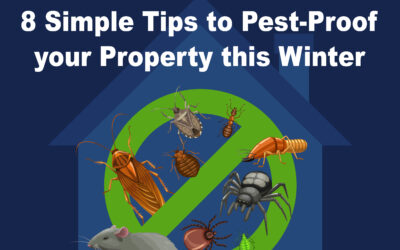 8 Simple Tips to Pest-Proof Your Property this Winter