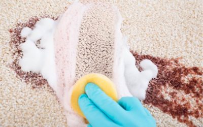 The 5 Toughest Carpet Stains to Remove