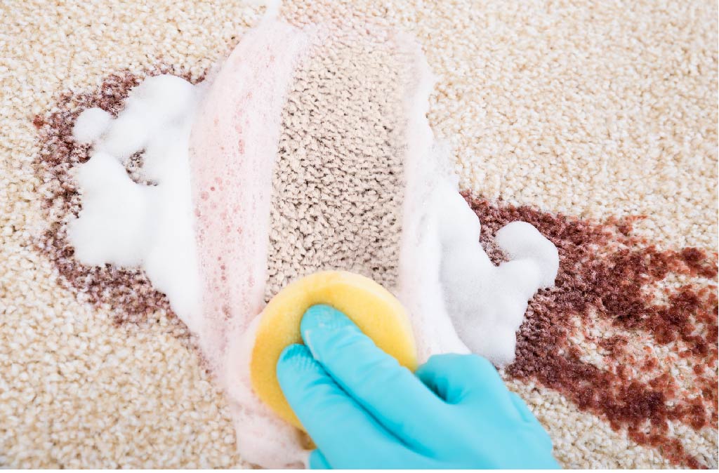 The 5 Toughest Carpet Stains to Remove