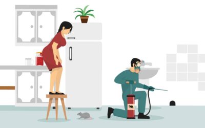 The Homeowners Guide to Pest-Proofing Your Property