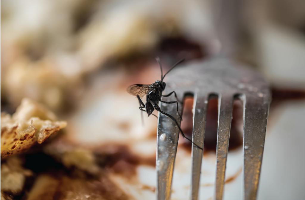 Top Pests Found in Food Industry