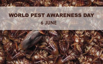 World Pest Day: Imagining a World without Pest Control