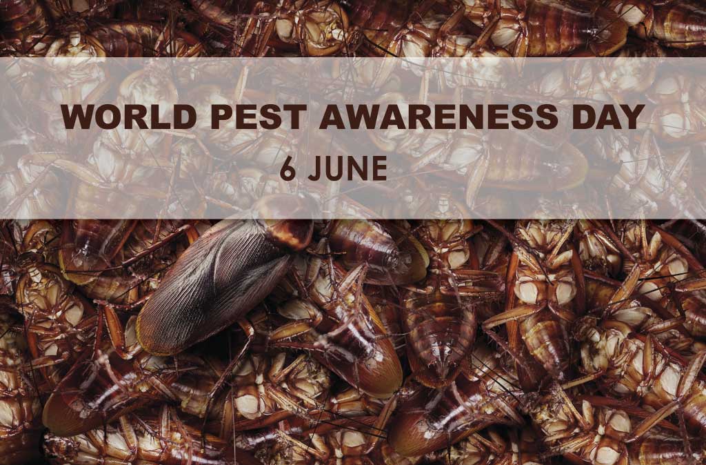 World Pest Day: Imagining a World without Pest Control