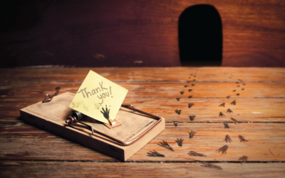 The 6 Tell-tale Signs of a Rodent Infestation [Infographic]