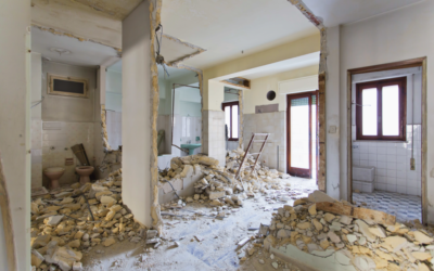 Construction Pest Control: What You Need to Know