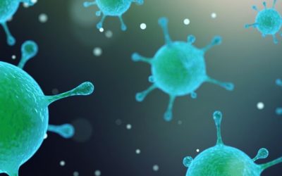 The 7 Common Germs That Cause Absenteeism in Your Office