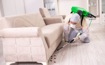 Pest Control Specialists