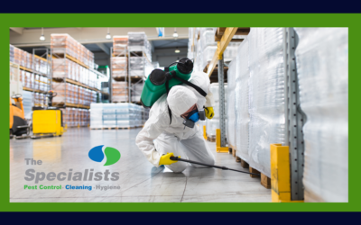 DIY pest control VS professional pest control: What’s the difference?