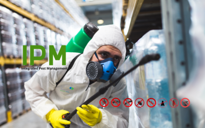 Southern Africa’s Stance on Pest Control in Businesses