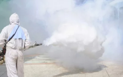 Beyond Infestations: Fumigation as a Smart Autumn Strategy