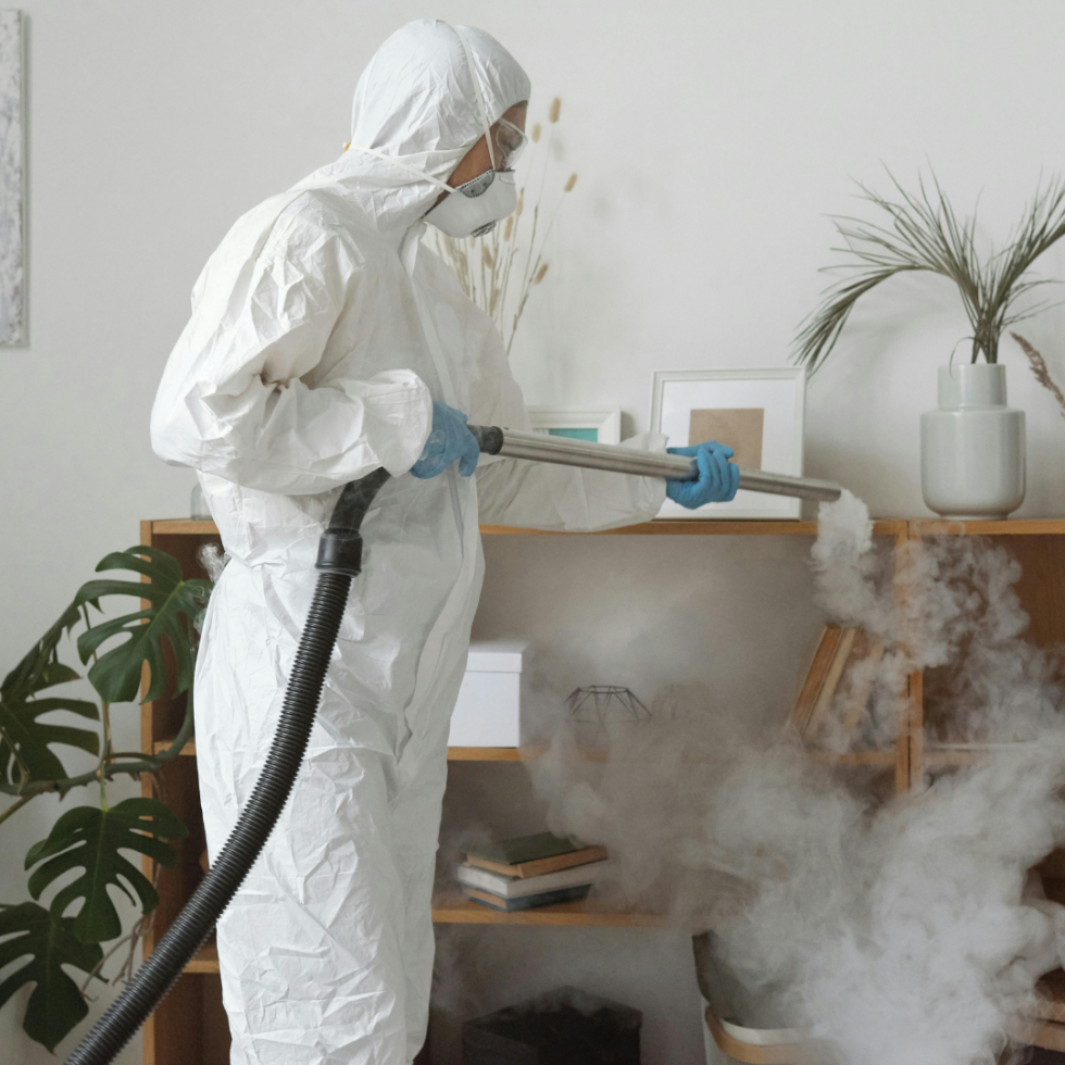 Professional Fumigation Services For Pest Control