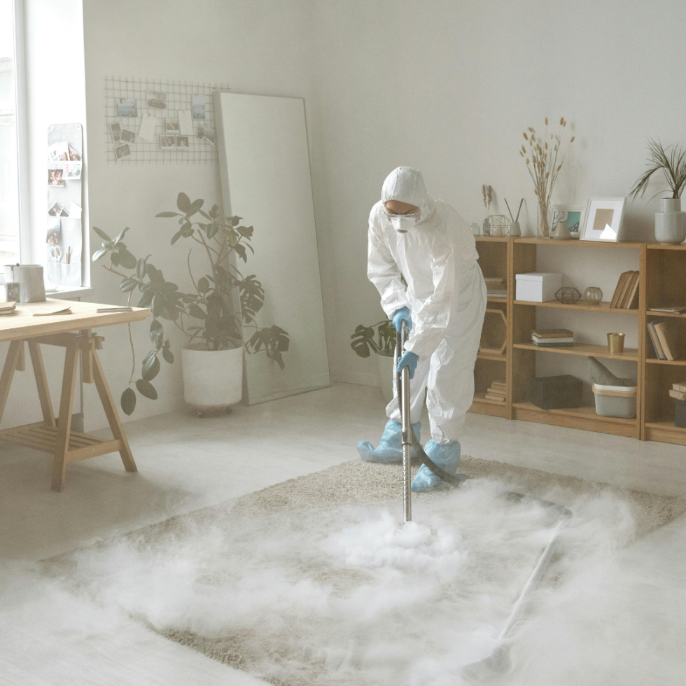 Professional Fumigation Services For Pest Control