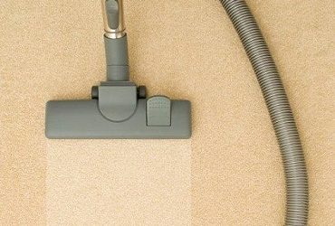 A-z of Critters Dry Carpet Cleaning Is the Smart Choice This Winter
